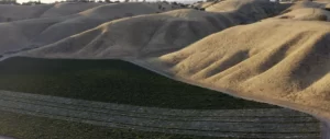 Cass Winery